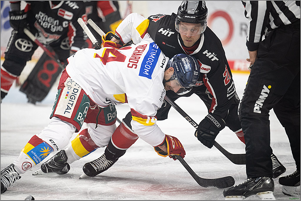 PENNY DEL; Koelner Haie-Duesseldorfer EG ; Koeln, 16.02.2025